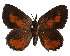  ( - AP-947)  @11 [ ] by-nc (2022) Pasi Sihvonen University of Helsinki