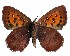  ( - AP-947)  @11 [ ] by-nc (2022) Pasi Sihvonen University of Helsinki