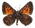  ( - AP-923)  @11 [ ] BY-NC-SA (2022) Jeremy Dobson, RSA Jeremy Dobson