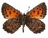  ( - AP-924)  @11 [ ] BY-NC-SA (2022) Jeremy Dobson, RSA Jeremy Dobson