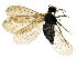  ( - EVI-000065)  @11 [ ] by-nc (2020) Esko Viitanen Unspecified