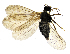  ( - EVI-000065.1)  @11 [ ] by-nc (2021) Esko Viitanen Unspecified