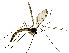  ( - EVI-000066)  @11 [ ] by-nc (2020) Esko Viitanen Unspecified