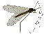  ( - EVI-000075)  @11 [ ] by-nc (2021) Esko Viitanen Unspecified
