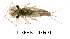  ( - FIEPHE-2018F031)  @11 [ ] CreativeCommons - Attribution Non-Commercial (2019) Aki Rinne Unspecified