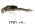  ( - FIEPHE-2018F057)  @11 [ ] CreativeCommons - Attribution Non-Commercial (2019) Aki Rinne Unspecified