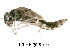  ( - FIEPHE-2018F058)  @11 [ ] CreativeCommons - Attribution Non-Commercial (2019) Aki Rinne Unspecified