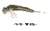  ( - FIEPHE-2018F060)  @11 [ ] CreativeCommons - Attribution Non-Commercial (2019) Aki Rinne Unspecified