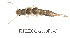  ( - FIPLECO-2018F045)  @11 [ ] CreativeCommons - Attribution Non-Commercial (2019) Aki Rinne Unspecified
