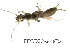  ( - FIPLECO-2018F046)  @11 [ ] CreativeCommons - Attribution Non-Commercial (2019) Aki Rinne Unspecified