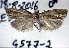  ( - G577-2)  @12 [ ] CreativeCommons - Attribution Non-Commercial (2016) Marko Mutanen University of Oulu