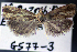  ( - G577-3)  @12 [ ] CreativeCommons - Attribution Non-Commercial (2016) Marko Mutanen University of Oulu