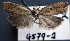  ( - G579-2)  @12 [ ] CreativeCommons - Attribution Non-Commercial (2016) Marko Mutanen University of Oulu