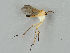  ( - MZH_GAS.190)  @11 [ ] CreativeCommons - Attribution Non-Commercial (2018) Marko Mutanen University of Oulu