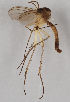  ( - MZH_GAS.212)  @11 [ ] CreativeCommons - Attribution Non-Commercial (2018) Marko Mutanen University of Oulu
