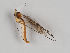  ( - MZH_GAS.214)  @11 [ ] CreativeCommons - Attribution Non-Commercial (2018) Marko Mutanen University of Oulu