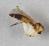  ( - MZH_GAS.223)  @11 [ ] CreativeCommons - Attribution Non-Commercial (2018) Marko Mutanen University of Oulu