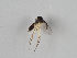  ( - MZH_GAS.243)  @11 [ ] CreativeCommons - Attribution Non-Commercial (2018) Marko Mutanen University of Oulu