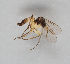  ( - MZH_GAS.253)  @11 [ ] CreativeCommons - Attribution Non-Commercial (2018) Marko Mutanen University of Oulu