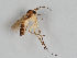  ( - MZH_GAS.263)  @11 [ ] CreativeCommons - Attribution Non-Commercial (2018) Marko Mutanen University of Oulu
