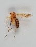  ( - MZH_GAS.270)  @11 [ ] CreativeCommons - Attribution Non-Commercial (2018) Marko Mutanen University of Oulu