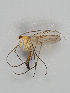  ( - MZH_GAS.281)  @11 [ ] CreativeCommons - Attribution Non-Commercial (2018) Marko Mutanen University of Oulu