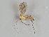  ( - MZH_GAS.282)  @11 [ ] CreativeCommons - Attribution Non-Commercial (2018) Marko Mutanen University of Oulu