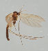  ( - MZH_GAS.289)  @11 [ ] by-nc (2018) Marko Mutanen University of Oulu