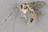  ( - GAS.2950)  @11 [ ] by-nc (2024) Erkka Laine University of Oulu