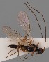  ( - MZH_GL.3271)  @11 [ ] by-nc (2021) Simo Vaananen Luomus