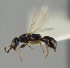  ( - MZH_GL.7346)  @11 [ ] by-nc (2023) Simo Vaananen Luomus
