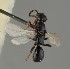  ( - MZH_GL.7347)  @11 [ ] by-nc (2023) Simo Vaananen Luomus