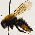  ( - GP.69783)  @11 [ ] CreativeCommons - Attribution Non-Commercial (2016) Marko Mutanen University of Oulu