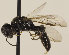  ( - GP.69900)  @12 [ ] CreativeCommons - Attribution Non-Commercial (2016) Marko Mutanen University of Oulu