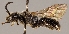 ( - GP.76383.1)  @11 [ ] CreativeCommons - Attribution Non-Commercial (2016) Marko Mutanen University of Oulu