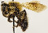  ( - GP.89315)  @11 [ ] CreativeCommons - Attribution Non-Commercial (2016) Marko Mutanen University of Oulu