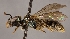  ( - GP.89415)  @14 [ ] CreativeCommons - Attribution Non-Commercial (2016) Marko Mutanen University of Oulu