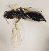 ( - GP.98406)  @13 [ ] CreativeCommons - Attribution Non-Commercial (2017) Marko Mutanen University of Oulu