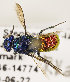  ( - GP.98459)  @12 [ ] CreativeCommons - Attribution Non-Commercial (2017) Marko Mutanen University of Oulu