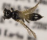  ( - GP.98466)  @12 [ ] CreativeCommons - Attribution Non-Commercial (2017) Marko Mutanen University of Oulu