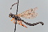  ( - GP.113365)  @11 [ ] by-nc (2023) Juuso Paappanen University of Oulu