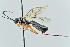  ( - GP.113413)  @11 [ ] by-nc (2023) Juuso Paappanen University of Oulu