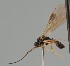 ( - MZH_GQ.1093)  @11 [ ] by-nc (2023) Simo Vaananen Luomus