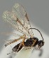  ( - MZH_GQ.1095)  @11 [ ] by-nc (2023) Simo Vaananen Luomus