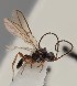  ( - MZH_GQ.1113)  @11 [ ] by-nc (2023) Simo Vaananen Luomus