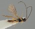  ( - MZH_GQ.1179)  @11 [ ] by-nc (2023) Simo Vaananen Luomus