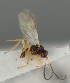  ( - MZH_GQ.1193)  @11 [ ] by-nc (2023) Simo Vaananen Luomus