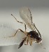  ( - MZH_GQ.1237)  @11 [ ] by-nc (2023) Simo Vaananen Luomus