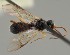  ( - MZH_GQ.1545)  @11 [ ] by-nc (2023) Simo Vaananen Luomus