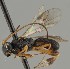 ( - MZH_GQ.1548)  @11 [ ] by-nc (2023) Simo Vaananen Luomus